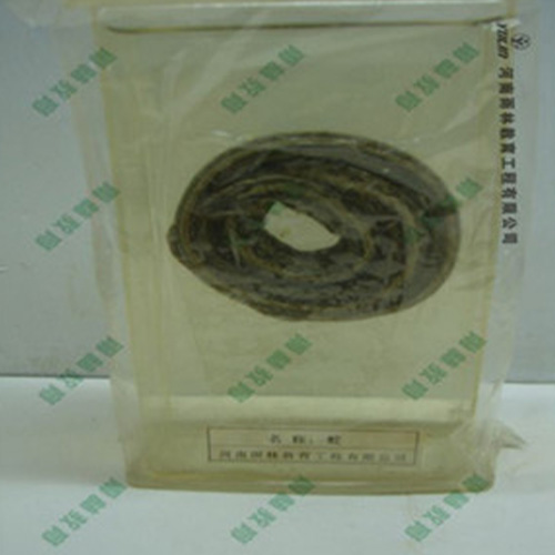 辽宁蛇浸制标本