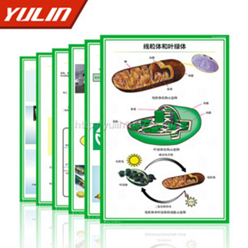 辽宁病虫害防治挂图