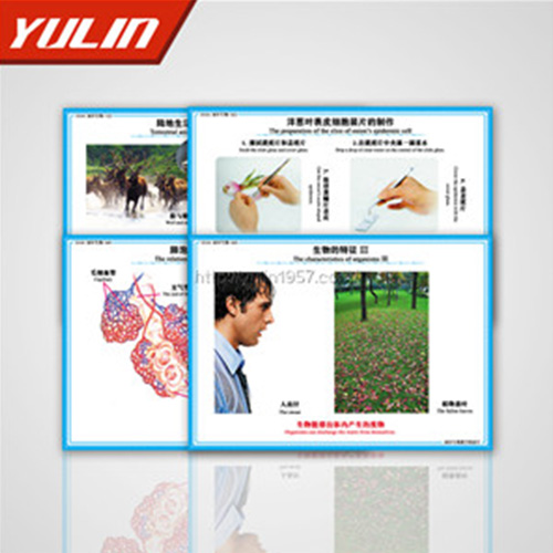 辽宁微生物及免疫教学挂图