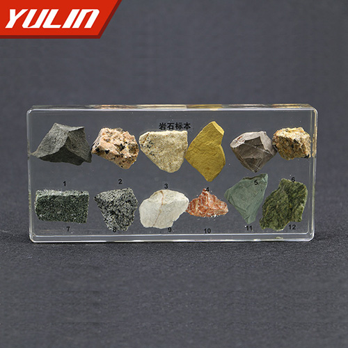 辽宁岩石包埋标本