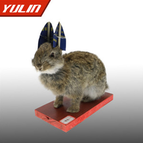 辽宁草兔标本