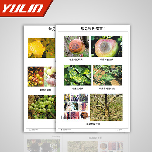 辽宁园林植物病理挂图