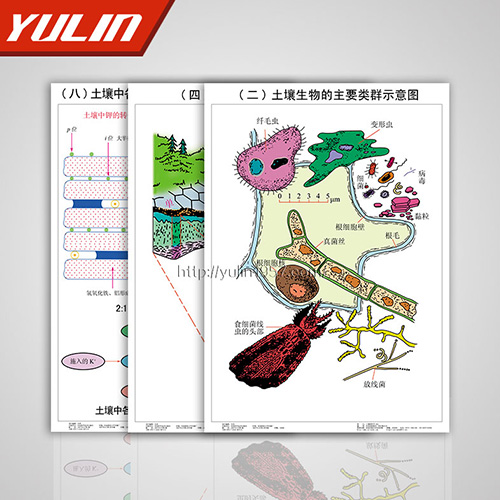 辽宁土壤肥料挂图