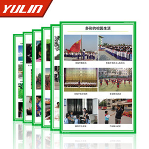 辽宁小学品德与社会挂图