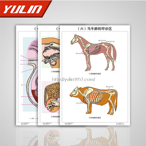 辽宁职业教育教学挂图