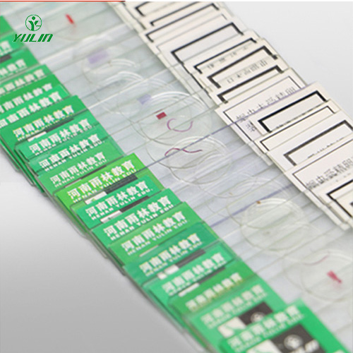 辽宁中药干制标本